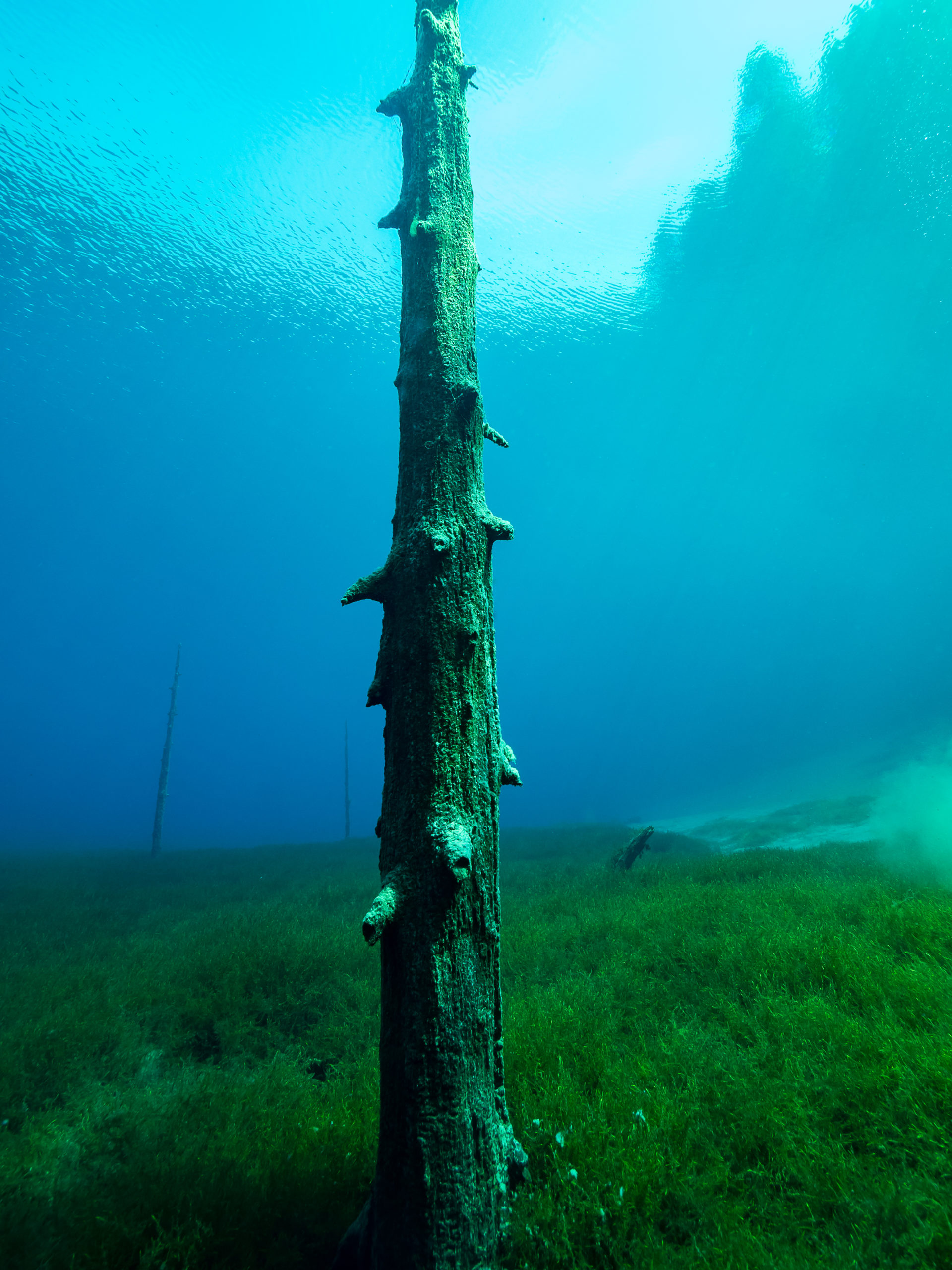 Scuba Diving Clear Lake, Oregon - Scuba Scribbles