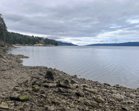 Sund Rock Marine Preserve Dive Site