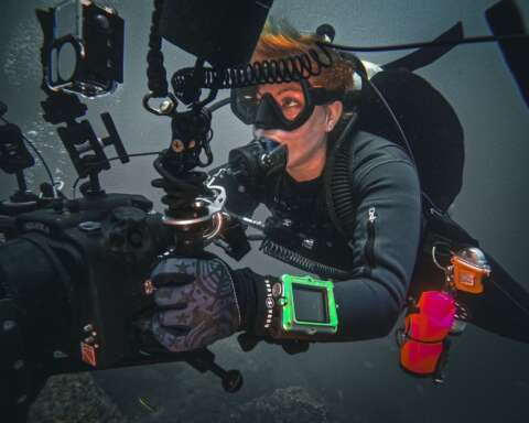 Underwater Photographer