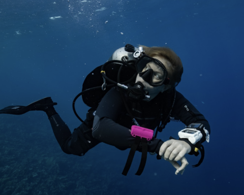 Candice Landau Dive Gear