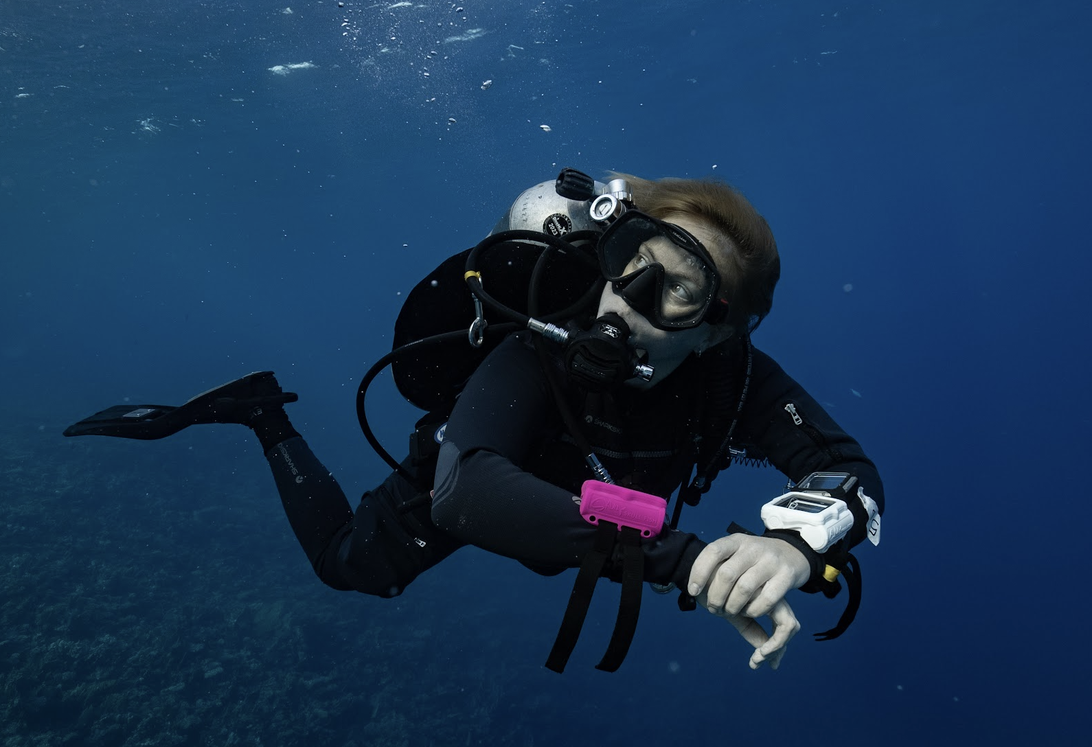 Candice Landau Dive Gear